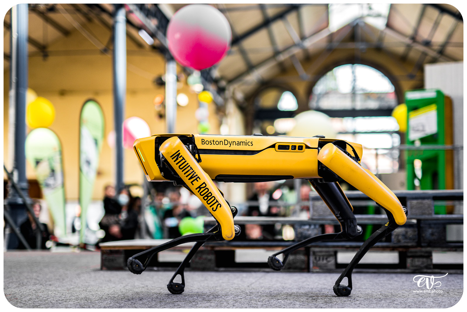 SPOT (BOSTON DYNAMICS)